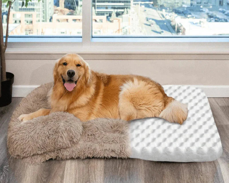 Oreiller SunggleNest™